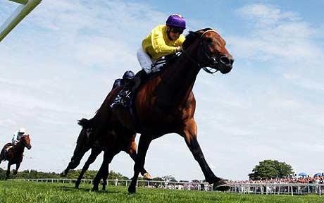 Sea_The_Stars_1494688c Sea_The_Stars_1494688c